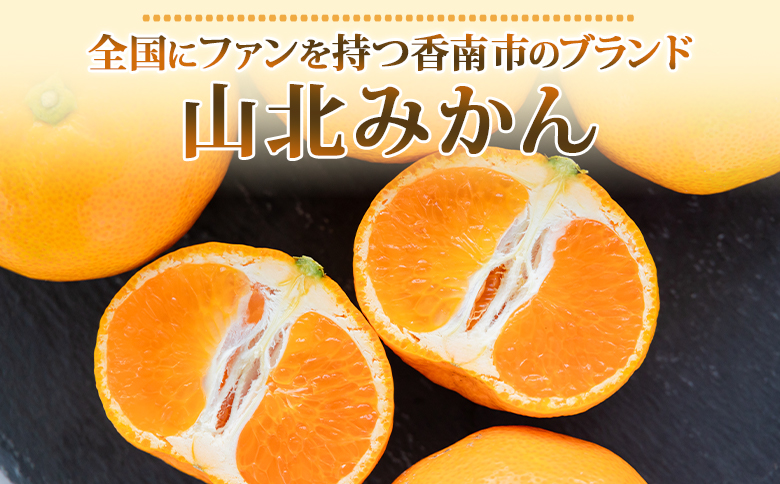 【３回定期便】山北温室みかん1.2kg - 秀品 果物 くだもの フルーツ 柑橘 蜜柑 お歳暮 ギフト 産地直送 送料無料 小玉大玉 国産 品種 御礼 お礼 高知県 香南市 Wku-0060