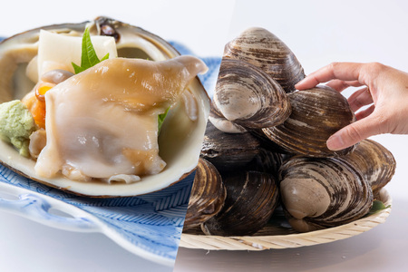＜12月から順次発送＞　【 定期便 3回 】 北海道産 海の幸 定期便 いくら 500ｇ ( 250 ｇ × 2 パック ) 毛がに 2尾 活きホッキ貝 20個 北海道 新ひだか町  ＜ 予約受付 ＞
