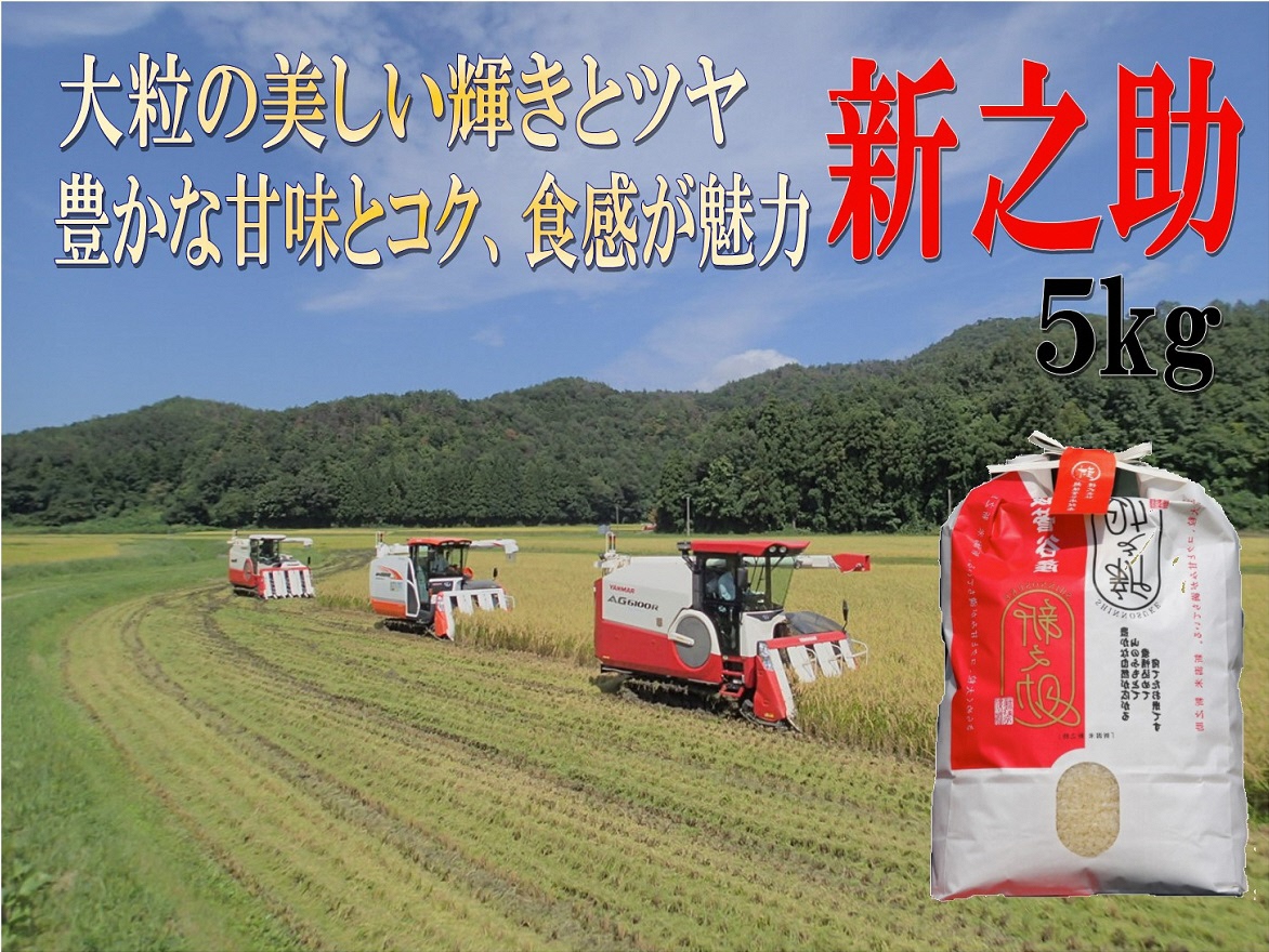 令和6年産 新潟県産 越後菅谷 新之助 5㎏【 新潟県産 新発田産 米 5kg 越後菅谷 新之助 数量限定 】D18-02