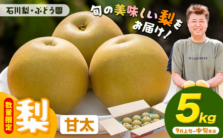 甘太 梨5kg石川梨・ぶどう園梨梨梨【配送不可地域あり】（離島）