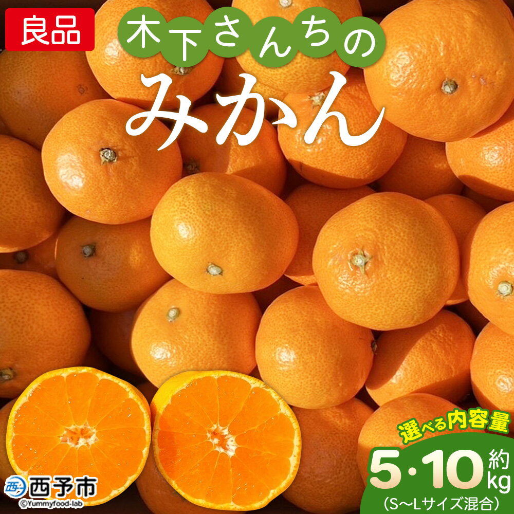 【ふるさと納税】＜木下さんちのみかん 良品 約5kg／10kg（S～Lサイズ混合）＞ 柑橘類 温州みかん うんしゅうみかん みかん ミカン 蜜柑 果物 くだもの フルーツ 選べる内容量 特産品 木下農園 西宇和 愛媛県 西予市【常温】『2025年11月中旬から12月下旬に順次出荷予定』