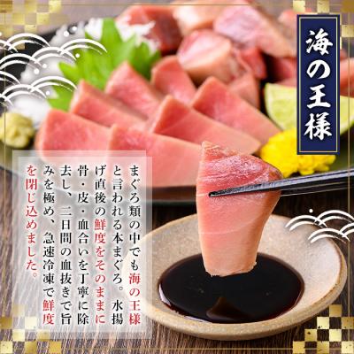 ふるさと納税 境港市 <数量限定><訳あり>境港産本まぐろ2種セット(計300g) |  | 01