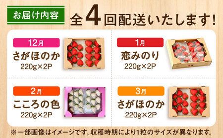 【先行予約】【全4回定期便】さがほのか・恋みのり・こころの色 220g×2パック×4回 / 佐賀県 / 鐘ヶ江農園[41ASBK006]