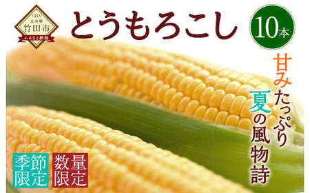 【2026年7月上旬-下旬発送予定】 竹田市産 とうもろこし 10本