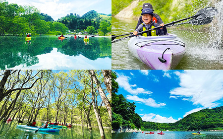 水没林カヌー［早朝プレミアム］（2名様分）- 体験 チケット 自然 白川湖
