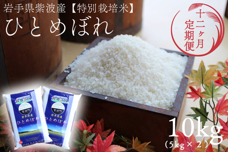 ★令和6年産★【12回定期便】特別栽培米　ひとめぼれ10kg（5kg×2袋）岩手県紫波町産 (AD056)