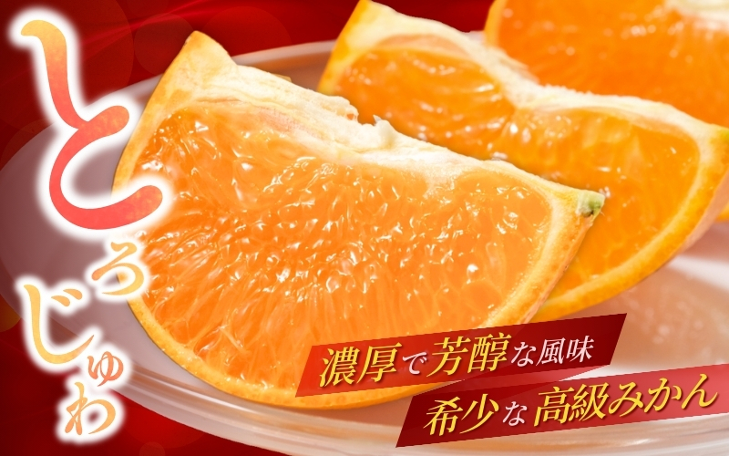 【先行予約】 せとか 5kg (2026年3月以降順次発送) / 柑橘の大トロ 高級 ブランド 希少 品種 和歌山蜜柑 和歌山ミカン 高級みかん 人気みかん みかんランキング 果物 くだもの フルーツ