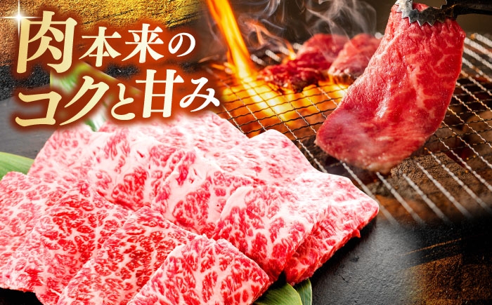 牛肉 焼肉 和牛 黒毛和牛 BBQ セット 食べ比べ 贅沢 島根県 雲南市