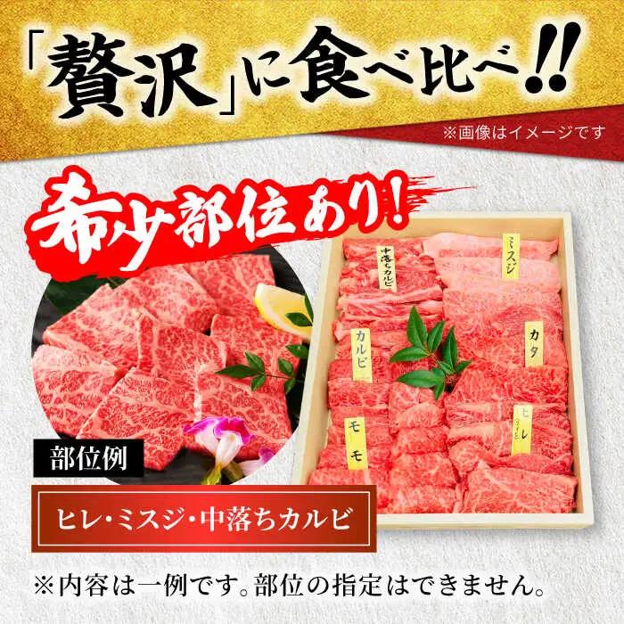 飛騨牛 焼肉用  6種飛騨牛食べ比べ【マルゴー】[MBE041]