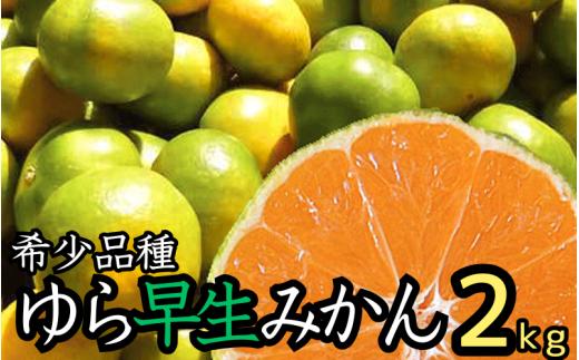 由良早生 みかん 家庭用 2kg / ゆら早生 温州みかん 極早生 甘い 家庭用 和歌山 柑橘 ※10月上旬～10月下旬順次発送 ※北海道・沖縄・離島への配送不可 【nuk003-yura-2】