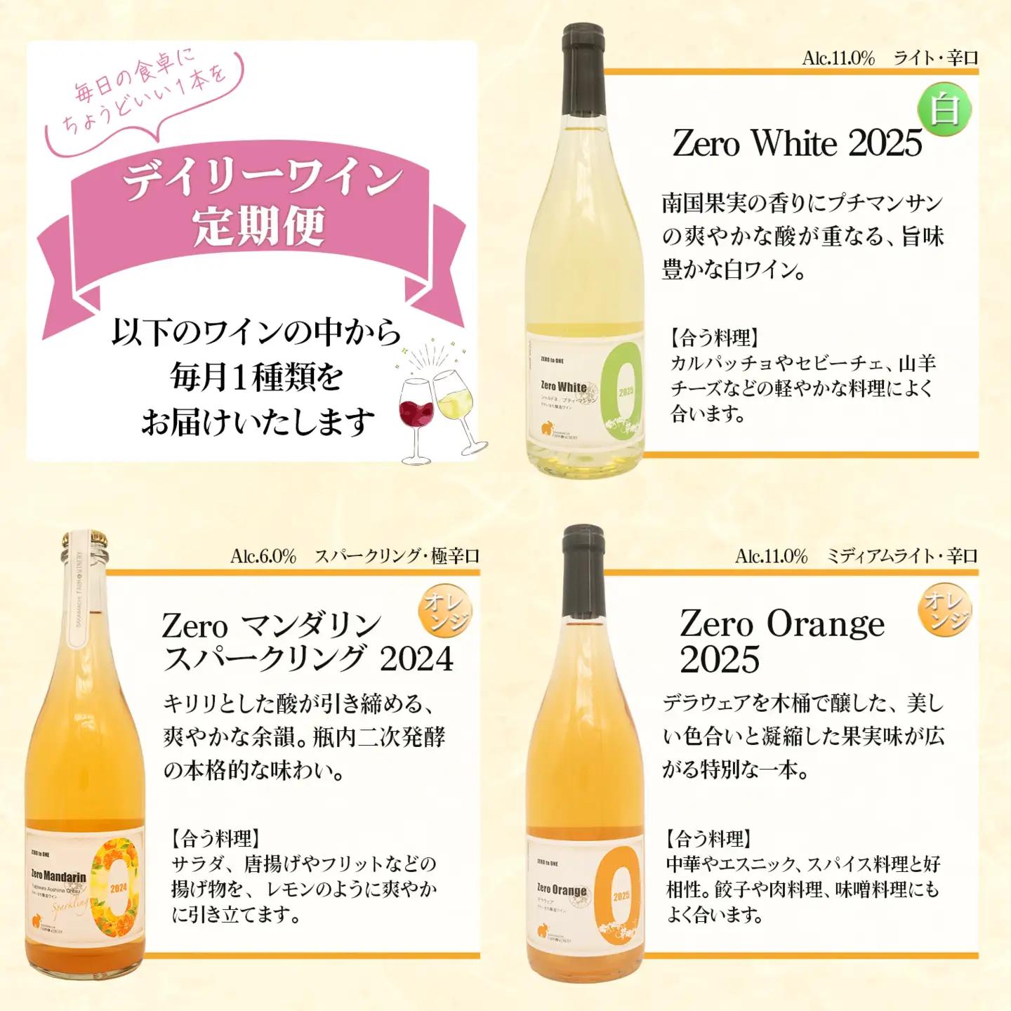 【6ヶ月定期便/毎月お届け】デイリーワイン 750ml×1本 K2709