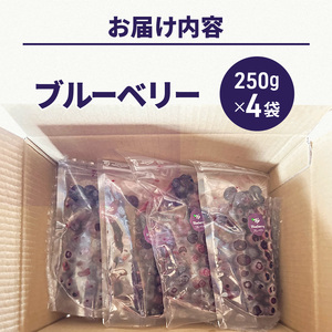 ブルーベリー 冷凍 北海道産ブルーベリー【250g×4袋】