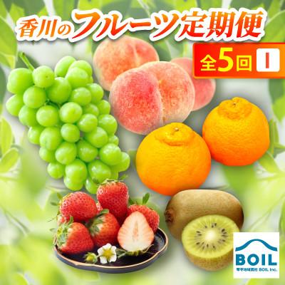 ふるさと納税 香川県 【発送月固定定期便】香川のフルーツ(5I)全5回