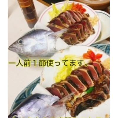 ふるさと納税 南国市 高知沖中土佐久礼かつお冷凍タタキ3節(手焼きわら焼き) |  | 03