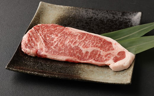 
【定期便3か月】 あか牛 サーロイン 肉 1kg(5枚～6枚)、 馬刺し 300g(赤身100g霜降り100gたてがみ100g) 食べ比べ セット
