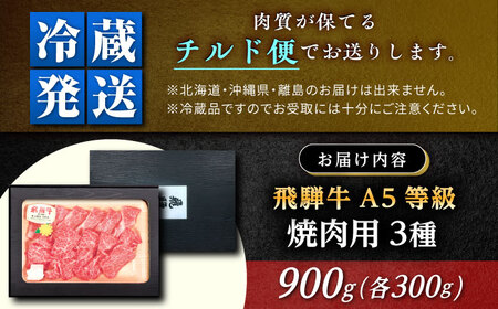 【チルド（冷蔵）発送！】 「飛騨牛」 A5等級 焼肉用3種盛り！ ロース・もも・バラ 各300g / 牛肉 焼肉 鉄板焼き 網焼き BBQ/ 恵那市 / 東美濃農業協同組合[AUFX023]