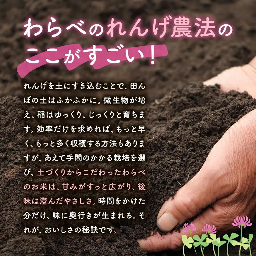 熊本県菊池市産のれんげ米 10kg 《30日以内に出荷予定(土日祝除く)》 精米方法 玄米 お米 レンゲ米 熊本県産 九州産 送料無料
