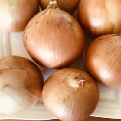 【訳あり】北海道 十勝 帯広産 玉ねぎ 20kg【配送不可地域：離島】【1677195】