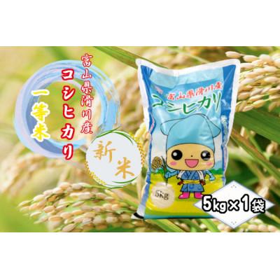 ふるさと納税 滑川市 滑川産コシヒカリ(令和7年産新米/精米)5kg