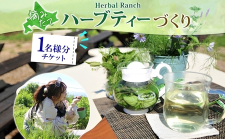 ハーブティー作り体験 摘みたて ハーバルランチ ハーブティー作り体験
