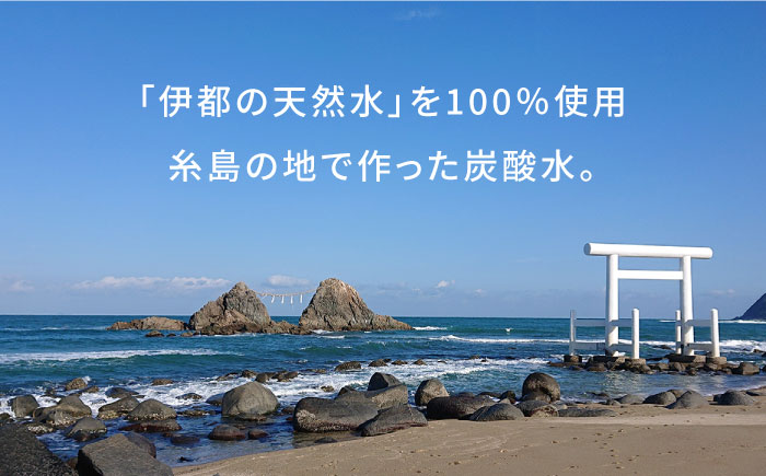 【全6回定期便】強炭酸水 1.5L×8本 糸島市 / スターナイン 炭酸水 大容量 [ARM007]