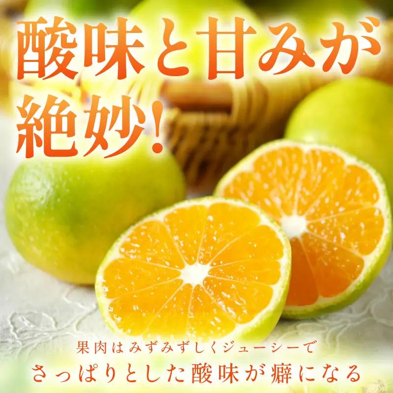 【1213】極早生みかん 5kg 和歌山産 甘酸っぱいみかん