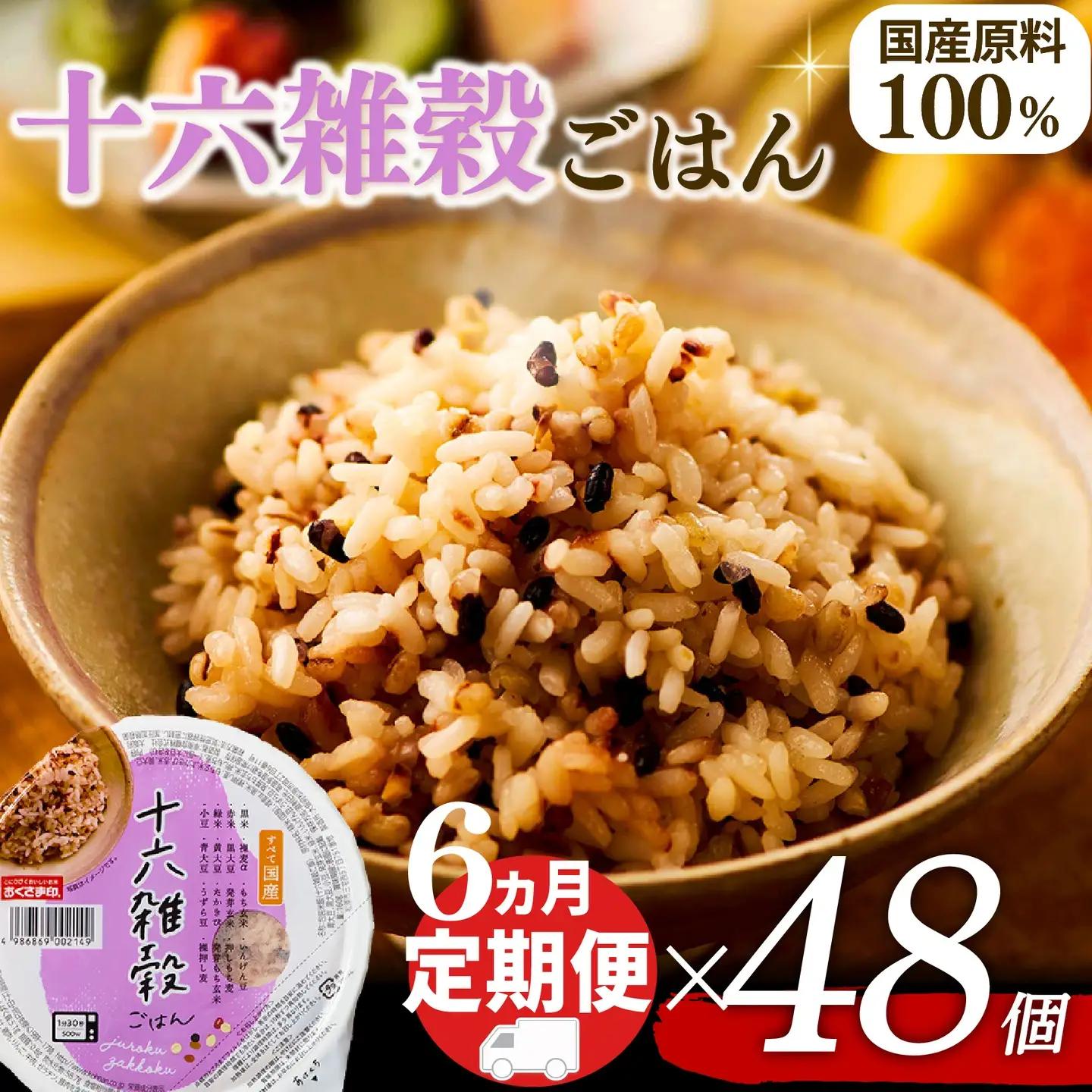 【十六雑穀米】定期便6回 国産100% パックご飯 160g×48個 レンジで簡単