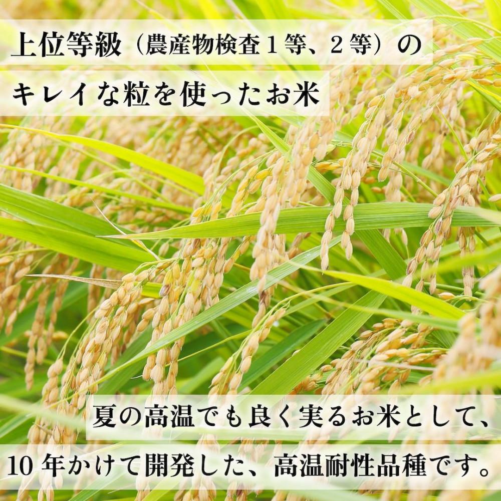 【化粧箱入り】新米！！令和7年産 福岡県産米 元気つくし 5kg ( 5kg×1袋 )