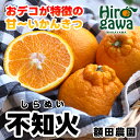 【ふるさと納税】 不知火 ( デコポン ) 5kg 7kg 10kg 11000円 13000円 サイズ混合 ※2月中旬～4月中旬に順次発送予定 ※北海道・沖縄・離島への配送不可 / しらぬい 柑橘類 果物 和歌山 有田 広川 //dekopon //jcm