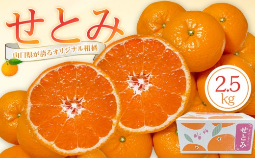 
                  【2027年2月下旬～3月頃より順次発送】山口県が誇るオリジナル柑橘《せとみ》2.5kg
                