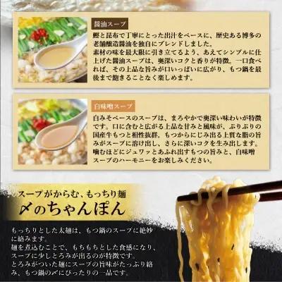 Z08-32 お徳用もつ鍋(醤油味・白味噌味 各4～5人前) もつ鍋