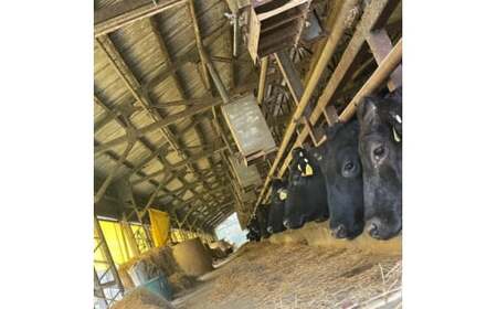 せんば牛ローストビーフ 300g【配送不可地域:離島】【1381564】