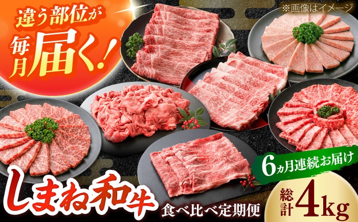 
                  【全6回定期便】しまね和牛プレミアセット 和牛 牛肉 定期便 肉 焼肉 すき焼き / 島根県雲南市 / フジキコーポレーション株式会社 [AIEA013]
                