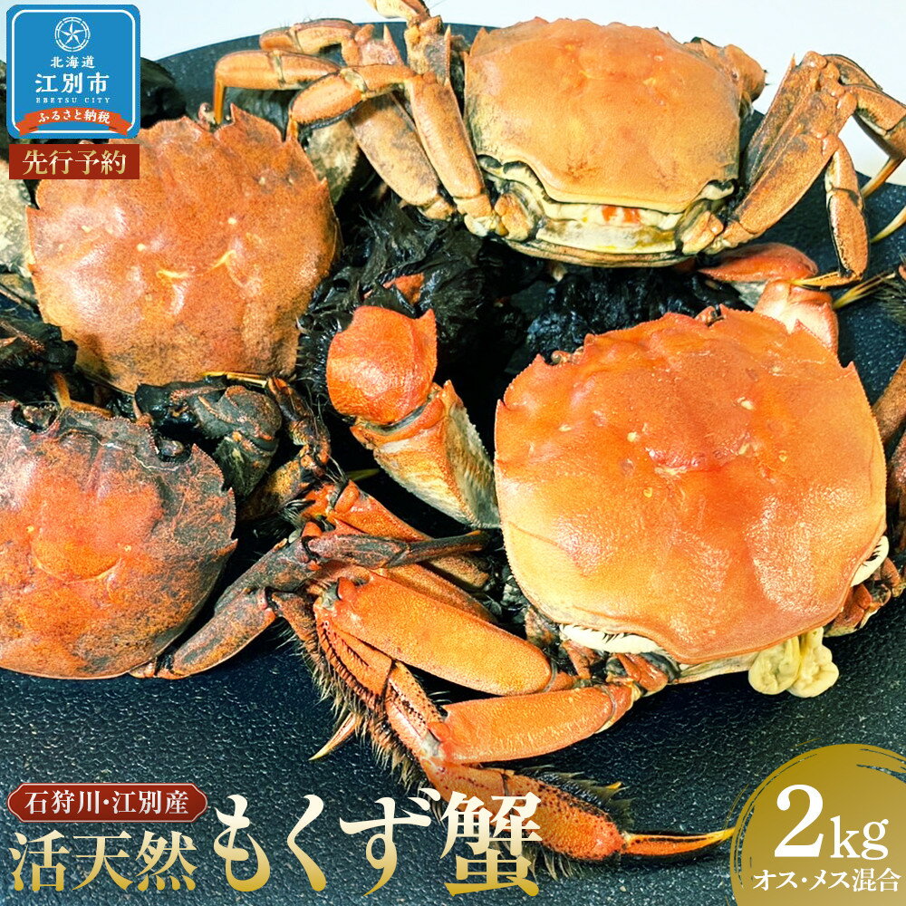 【ふるさと納税】【先行予約】石狩川・江別産　活天然もくず蟹　オス、メス混合2kg | 蟹 魚介類 水産 食品 人気 おすすめ 送料無料