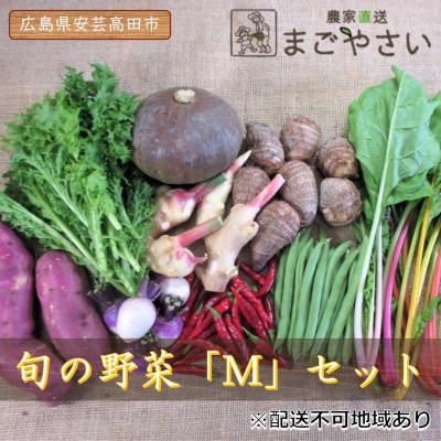 ふるさと納税 安芸高田市 旬の野菜【M】セット[No5895-0459]