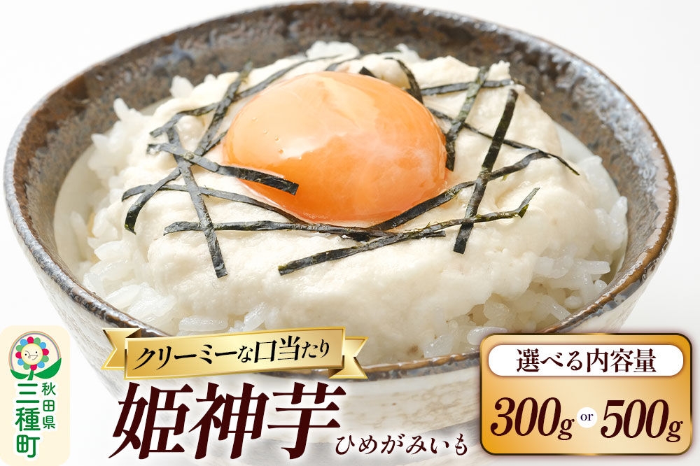 
                  姫神芋【選べる内容量 300g／500g】 秋田県山本郡三種町産 長芋 [長芋 粘り とろろ 国産 濃厚] 
                