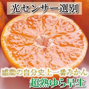 プレミアム 有田みかん10kg+250g（傷み補償分）［2025年10月上旬から2026年1月下旬頃順次発送予定］［IKE249］