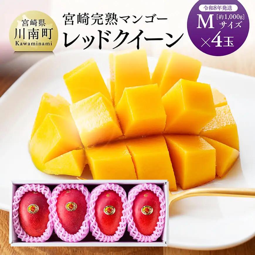 【令和8年発送】宮崎県産完熟マンゴー「レッドクイーン」M×4玉 フルーツ マンゴー