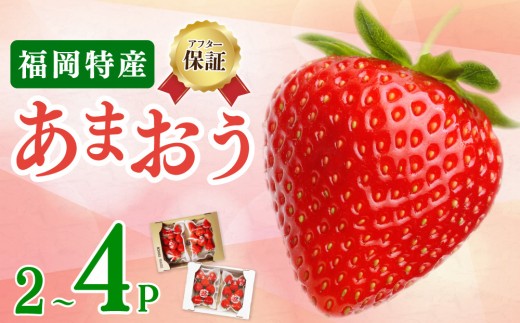 先行予約 福岡育ち あまおう いちご 約270g×4パック 合計1080g 【2023年2下旬〜3月順次発送】