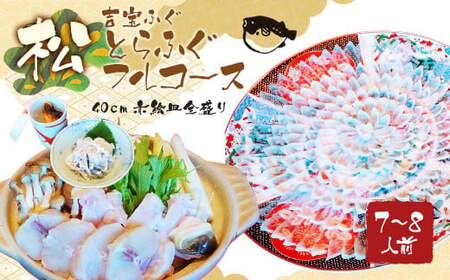 とらふぐフルコース【松】吉宝ふぐ（40cm赤絵皿全盛り・7～8人前） 『焼きひれ/特製ポン酢/もみじおろし付き』 ふぐ 河豚 フグ とらふぐ トラフグ 刺身 鍋 雑炊 ひれ酒 熊本県 上天草市【2026年10月下旬から2027年4月上旬発送開始】