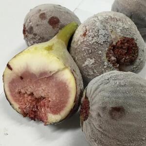 和歌山産 冷凍 いちじく 3kg(500g ×6袋)