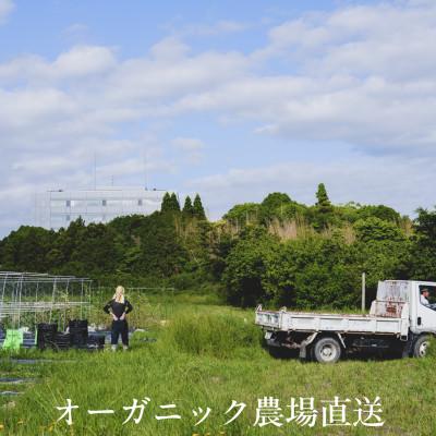 ふるさと納税 掛川市 【毎月定期便】しあわせ野菜畑の有機野菜　Sセット　(安心の有機JAS認証　オーガニック野菜)全12回 |  | 01