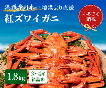 Y282 【蟹セレブ】紅ズワイガニ　1.8kg箱詰め（600g前後×3杯）