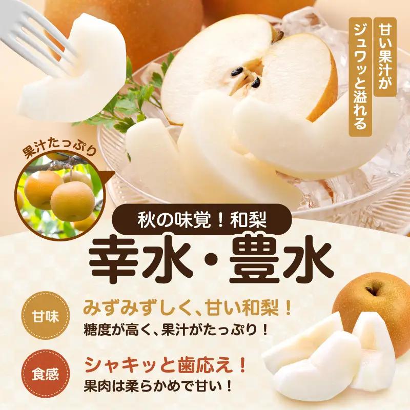 南信州産 梨 約10kg ＜ 幸水 ・ 豊水 ＞ いずれか1品種 おまかせ 【2026年8月中旬～発送】