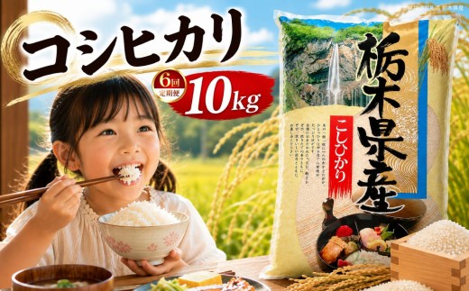 【定期6回】新米 令和8年度 栃木県産 こしひかり 白米 10kg （5kg×2袋） | 発送 ふるさと 納税 コシヒカリ お米 精米 白米 玄米 大粒 共通返礼品 送料無料 那珂川町 栃木県【栃木県共通返礼品】
