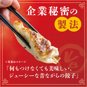 旨味たっぷり！本場プロの中華料理人が作る みとしゃんジャンボ餃子 30個（CS-5）