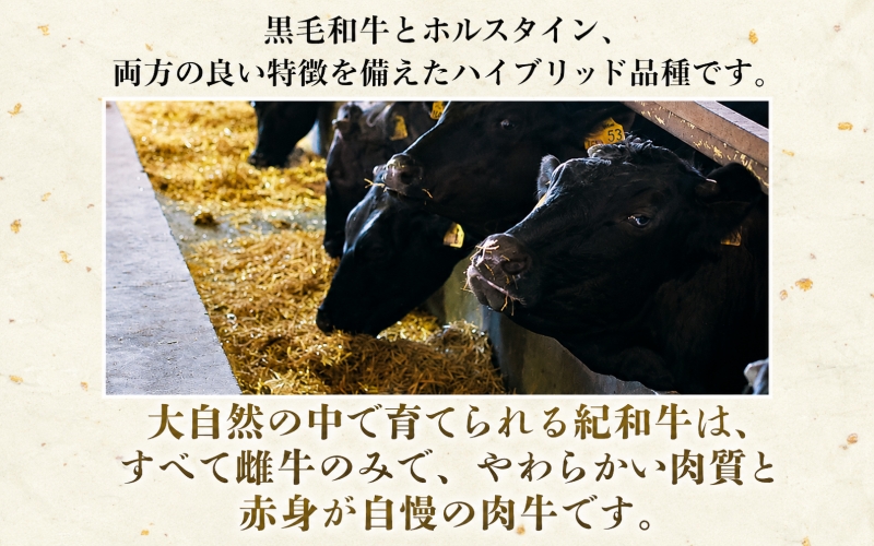 紀和牛すき焼き用ロース1kg【冷蔵】   牛 牛肉 紀和牛 ロース すきやき 1kg【tnk111-1】