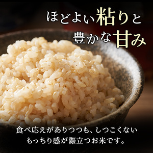 ホクレンゆめぴりか 定期便 12kg（3kg×4袋） 隔月3回 玄米 ゆめぴりか