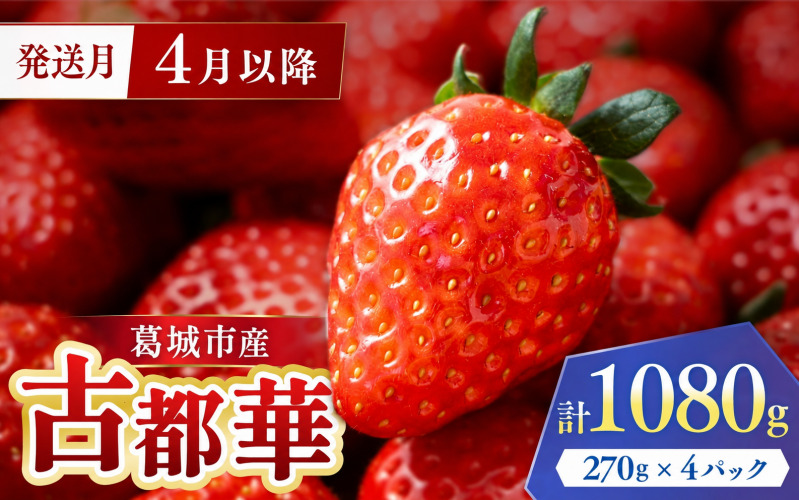 4月発送　葛城市産古都華4パック【ichi0002】