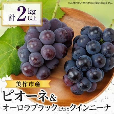 岡山県美作市産　ピオーネ＆オーロラブラックまたはクイーンニーナ2kg以上【配送不可地域：離島・北海道・沖縄】【1294330】